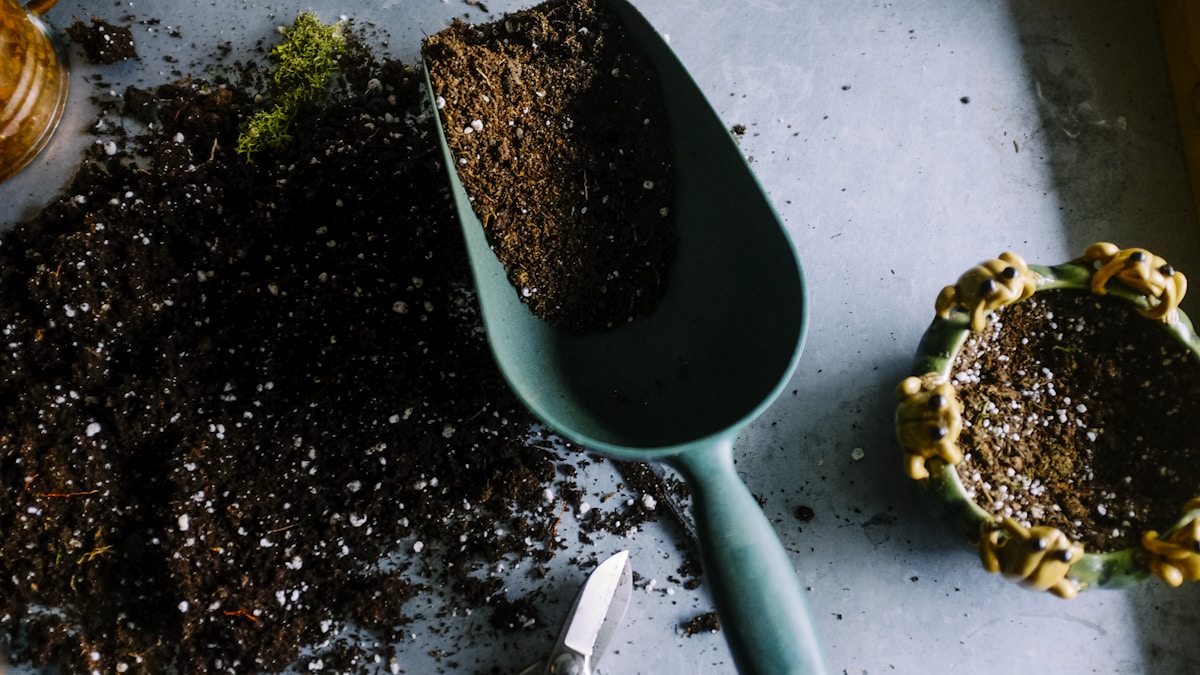 Plantes toxiques pour chiens et chats : le guide de prévention