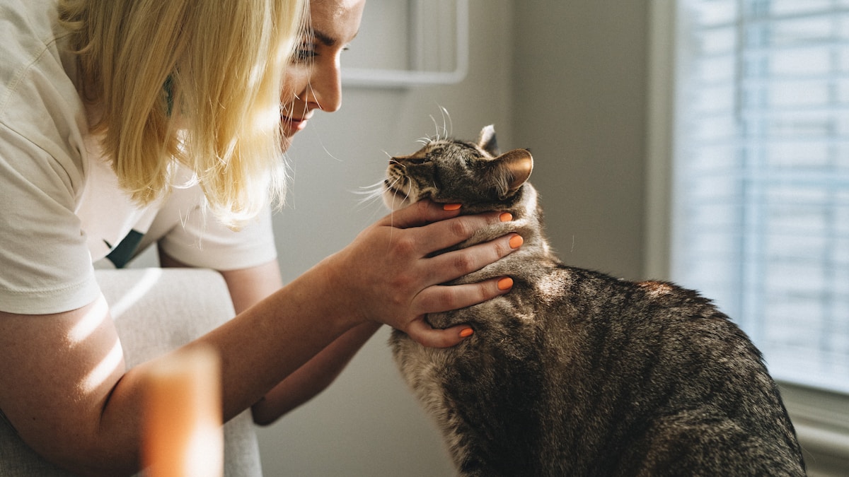 La vaccination du chien : tout ce qu il faut savoir